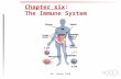 Dr. Sanaa Tork Chapter six: The Immune System. Dr. Sanaa Tork 1.What Is the Immune System and what does It do? The immune system is the body's defense.