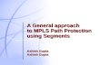 A General approach to MPLS Path Protection using Segments Ashish Gupta Ashish Gupta.