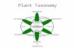 Plant Taxonomy. Alien Species The flora of almost every region now contains alien or introduced plants - it is important to recognize them for 4 reasons.