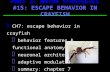 H CH7: escape behavior in crayfish H behavior features & functional anatomy H neuronal architecture H adaptive modulation H summary: chapter 7 PART 3: