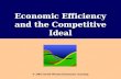 Economic Efficiency and the Competitive Ideal © 2003 South-Western/Thomson Learning.