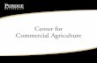 Agricultural Contracts: What Should I Consider? Why is contract use increasing? Marketing's 4 P’s Product Place Price Promotion (Channeling)