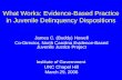 What Works: Evidence-Based Practice in Juvenile Delinquency Dispositions James C. (Buddy) Howell Co-Director, North Carolina Evidence-Based Juvenile Justice.