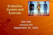 Endocrine System and Exercise EXS 558 Lecture #3 September 14, 2005.