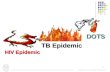 National TB Program Indonesia 1 TB Epidemic DOTS HIV Epidemic.