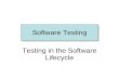 Software Testing Testing in the Software Lifecycle.