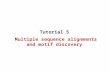 Multiple sequence alignments and motif discovery Tutorial 5.