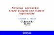 Natural aerosols: Global budgets and climate implications Aerodyne, Inc. April 10, 2009 Colette L. Heald.