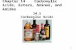 1 Chapter 14 Carboxylic Acids, Esters, Amines, and Amides 14.1 Carboxylic Acids.