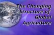 The Changing Structure of Global Agriculture. The New Cowboy Economy “… The world is going to have a global economy without a global government. this.