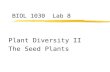 BIOL 1030 Lab 8 Plant Diversity II The Seed Plants.