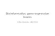 Bioinformatics: gene expression basics Ollie Rando, LRB 903.