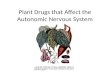 Plant Drugs that Affect the Autonomic Nervous System.