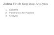Zebra Finch Seg Dup Analysis 1.Genome 2.Parameters for Pipeline 3.Analysis.