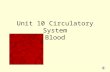 Unit 10 Circulatory System Blood 1. List the Functions of BLOOD TRANSPORT- deliver oxygen, pick up carbon dioxide and waste, transport hormones& nutrients.