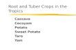 Root and Tuber Crops in the Tropics Cassava Cocoyam Potato Sweet Potato Taro Yam.