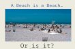 A Beach is a Beach… Or is it? .