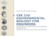 CEE 210 ENVIRONMENTAL BIOLOGY FOR ENGINEERS Lecture: Microbial Groups Instructor: L.R. Chevalier Department of Civil and Environmental Engineering Southern.