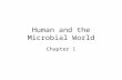 Human and the Microbial World Chapter 1. Preview History of microbiology –microscope, spontaneous generation Applications of microorganism/microbiology.