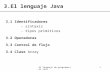 El lenguaje de programación Java1 3.El lenguaje Java 3.1 Identificadores - sintaxis - tipos primitivos 3.2 Operadores 3.3 Control de flujo 3.4 Clase Array.