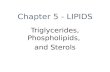 Chapter 5 - LIPIDS Triglycerides, Phospholipids, and Sterols.