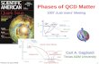 Phases of QCD Matter 1 Carl A. Gagliardi Texas A&M University Phases of QCD Matter 2007 JLab Users’ Meeting.