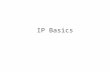 IP Basics. IP encapsulates TCP IP packets travel through many different routers (hops) before reaching it’s destination MTU variation at the physical.