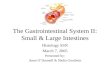 The Gastrointestinal System II: Small & Large Intestines Histology SSN March 7, 2005 Presented by: Anne O’Donnell & Nadia Goodwin.