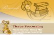 Tissue Processing Presented by: Walaa Mal Histopathology teaching assistant.