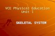 VCE Physical Education Unit 1 SKELETAL SYSTEM Human Skeleton.