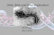 DNA, RNA and DNA Replication IB Biology 2011-2012.