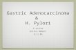 Gastric Adenocarcinoma & H. Pylori A review britni Hebert 8.11.09.