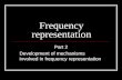 Frequency representation Part 2 Development of mechanisms involved in frequency representation.