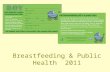 Breastfeeding & Public Health 2011. Structures, Policies, Systems Local, state, federal policies and laws to regulate/support healthy actions Institutions.
