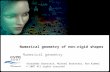 1 Numerical geometry of non-rigid shapes Numerical Geometry Numerical geometry of non-rigid shapes Numerical geometry Alexander Bronstein, Michael Bronstein,