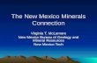 The New Mexico Minerals Connection Virginia T. McLemore New Mexico Bureau of Geology and Mineral Resources New Mexico Tech.