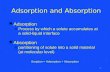 1 Adsorption and Absorption l Adsorption »Process by which a solute accumulates at a solid-liquid interface l Absorption »partitioning of solute into a.