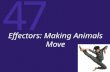 47 Effectors: Making Animals Move. 47 Microtubules, Microfilaments, and Cell Movement Microfilaments are proteins that generate contractile forces by.