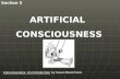 Section 5 ARTIFICIAL CONSCIOUSNESS Consciousness: An Introduction by Susan Blackmore.