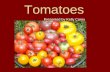 Tomatoes Presented by Kelly Carey. History -First domesticated and grown by Mesoamerican people in modern day Peru, Chile and Equator -Spread throughout.