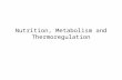Nutrition, Metabolism and Thermoregulation. Metabolism of Energy containing Nutrients.