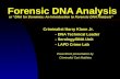 Forensic DNA Analysis or “DNA for Dummies: An Introduction to Forensic DNA Analysis” Criminalist Harry Klann Jr. - DNA Technical Leader - Serology/DNA.