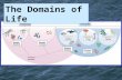 The Domains of Life. Microbes Bacteria Archaea Domains Bacteria and Archaea Very Small, Very simple cells.