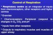 Control of Respiration Respiratory centre as an integrator of inputs from chemoreceptors, other receptors and higher centres Exercise Chemoreceptors: Peripheral.