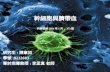 幹細胞與臍帶血 科學發展 2004 年 1 月， 373 期 研究生 : 陳韋如 學號 :9232603 專討指導教授 : 李孟真 老師.