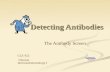 Detecting Antibodies The Antibody Screen CLS 422 Clinical Immunohematology I.