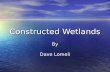Constructed Wetlands By Dave Lomeli. Why use a Constructed Wetland Constructed wetlands can treat wastewater from a variety of sources. One of the more.