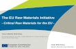 European Commission Enterprise and Industry RMI | A. Wittenberg | 03.12.2010 | ‹#›/26 The EU Raw Materials Initiative - Critical Raw Materials for the.