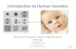 Introduction to Human Genetics But what happens when meiosis goes wrong? What when wrong? Happens meiosis wrong? When wrong? What meiosis goes wrong? Boehm.