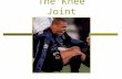 The Knee Joint.  Hinge joint?  Double-condyloid joint Flexion and Extension Internal and External Rotation  The locking of the knee into full extension.